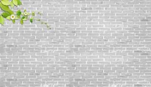 4 brick wall PPT background pictures