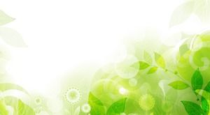 緑の新鮮な手描きの植物の葉PPT背景画像