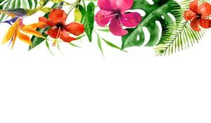 Două imagini colorate de flori de flori de acuarelă