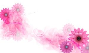 Gambar latar belakang PPT bunga merah muda yang indah