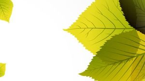 繊細な緑の葉のPPT背景画像