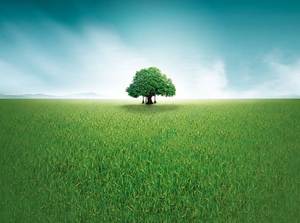 Grassland green tree PPT background picture