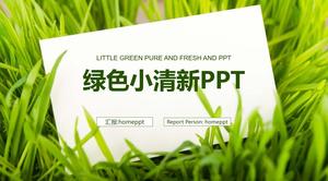 Modelo de PPT de plano de trabalho fresco de fundo de cartão verde de grama verde