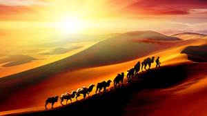 Шелковый путь пустынного верблюда PPT фоновый рисунок