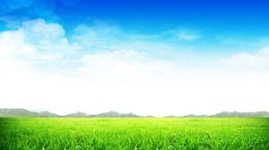 Image de fond PPT ciel bleu frais et nuage blanc herbe