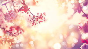 Красивое персиковое цветение слайд фоновое изображение