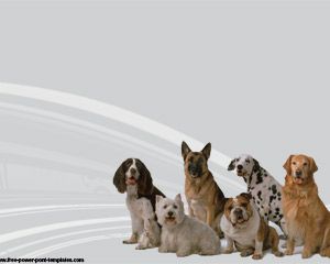 Template razze canine PowerPoint