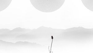 11 элегантных черно-белых фоновых картинок PPT в китайском стиле