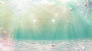 Beautiful ocean fish slide background picture