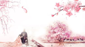 六朵粉紅色的美麗桃子背景圖片
