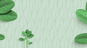 6 fresh green leaf PPT background pictures