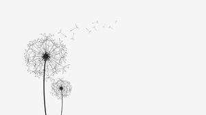 Three beautiful dandelion silhouette slide background pictures
