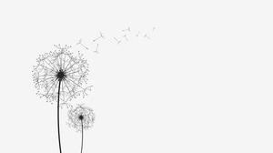 Three beautiful dandelion silhouette slide background pictures