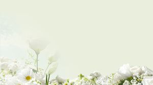 优雅的绿色背景白色花卉PPT背景图片