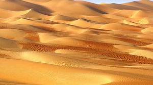 황금 사막 슬라이드 배경 그림
