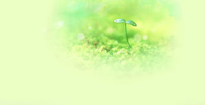 Verschwommenes grünes Keimlings-PPT-Hintergrundbild