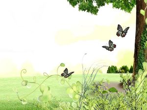 Lawn big tree butterfly flower nature PPT background picture