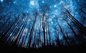 青い星空の下の深い森の奥のPPT背景画像