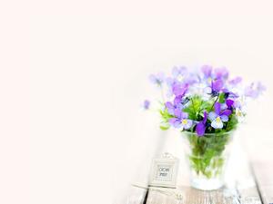 紫色の花植物PPT背景画像