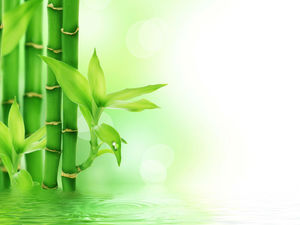 Imagen de fondo PPT de hojas de bambú de lago fresco