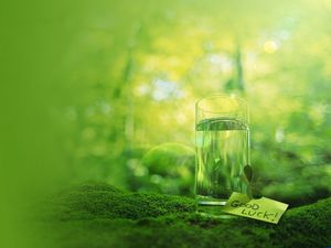玻璃水瓶绿色青苔植物的PPT背景图片