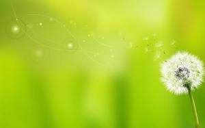 Yellow green tone dandelion PPT background picture