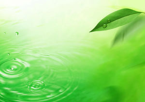 緑の葉水滴波PPT背景画像