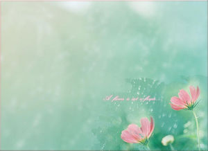 투명한 물방울 작은 꽃 에메랄드 그린 아름다운 PPT 배경 그림