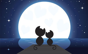 月明かりの下で2匹の子猫のPPT背景画像