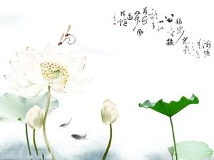 Libellule élégante jouer lotus modèle de fond de diaporama de style chinois