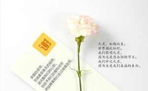A set of flowers and flowers slide background pictures