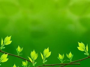 Download verde di immagine di sfondo di PowerPoint delle foglie fresche