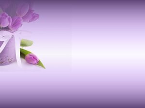Sekelompok unduhan gambar latar belakang PPT tulip ungu