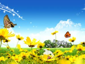 Бабочка божья коровка дикая хризантема PPT фоновый рисунок