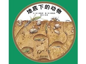 Cartea "Underground Animals" PPT Book Story
