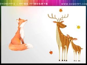 12 귀여운 수채화 작은 동물 PPT 삽화