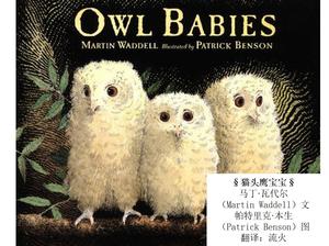 Povestea „Owl Baby” PPT Book Book