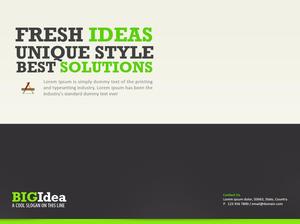European and American style website promotion PPT download