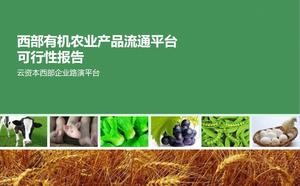 Agricultural product circulation platform analysis report PPT download