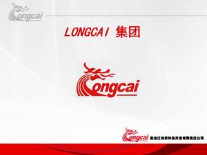 Heilongjiang Longcai Group Company Profile PPT Template Download