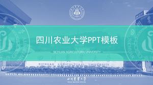 Sichuan Ziraat Üniversitesi tez savunma genel ppt şablonu