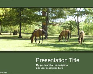 Horses PowerPoint Template