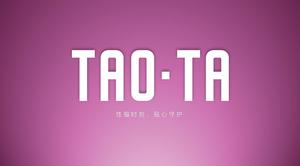简单，时尚，大气的TAOTA产品发布ppt模板