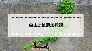 Vine green plants on the wall background translucent elements small fresh universal work report ppt template
