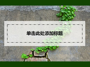 Plante verzi verzi pe fundal perete elemente translucide mici proaspete șablon ppt de raport universal de lucru