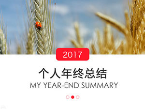 Flat atmosphere magazine style personal year-end summary new year plan ppt template