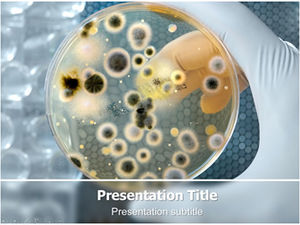 세균 실험실 분석-생물 의학 연구 PPT 템플릿