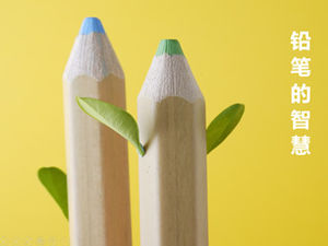 Inspiración de la plantilla ppt lápices-lápiz sabiduría