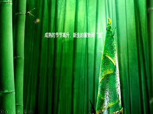 Cool bamboo shoots bamboo forest ppt template