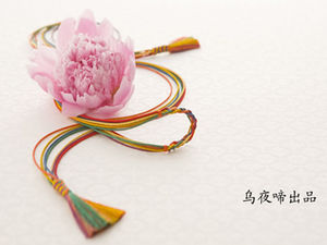 Peônia, ameixa de inverno, corda auspiciosa, lindo modelo de ppt de estilo chinês